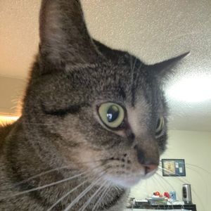 Meet your Posher, Dawson